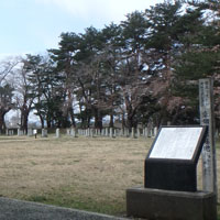 �K�����R��n�Ƒ��s��