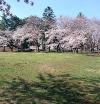 ���ړI�L��